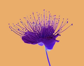 F 010E
